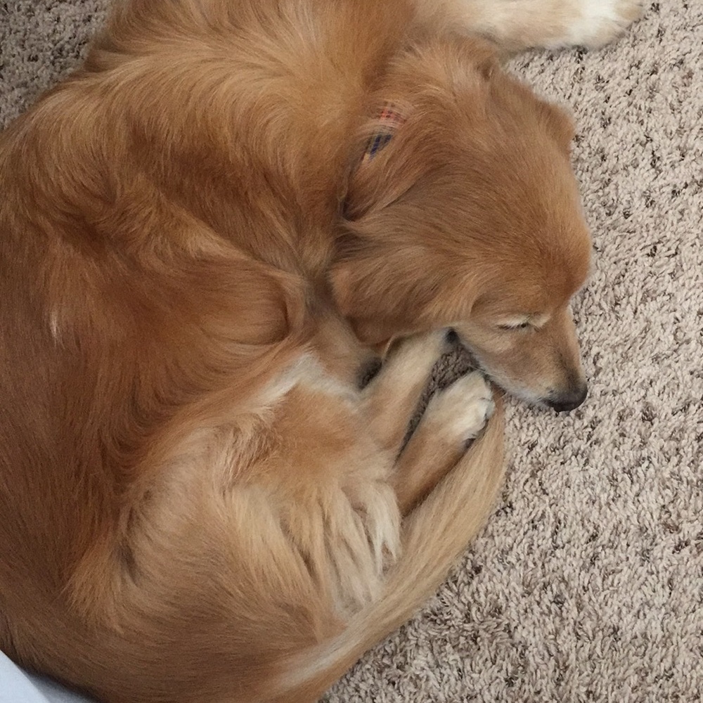 Meet your Posher, Pam